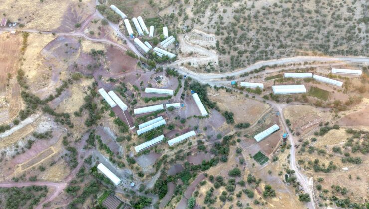 Siirt’in ‘sera köyü’nde üretim artıyor