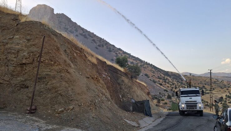 Silopi’de orman yangını kontrol altında