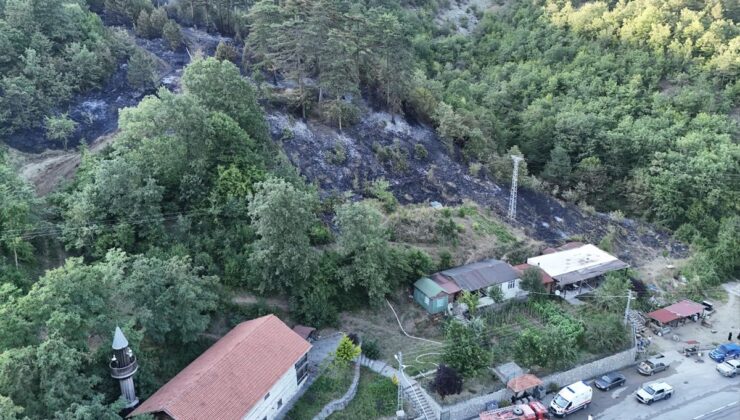 Sinop’ta orman yangınına neden olan şüpheli tutuklandı