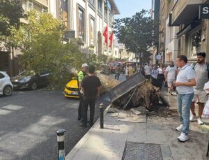 Şişli’de Devrilen Ağaç Park Halindeki 2 Araca Zarar Verdi