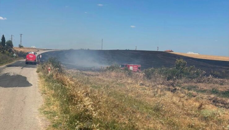 Tekirdağ’da çıkan anız yangınında 150 dekar tarım arazisi zarar gördü