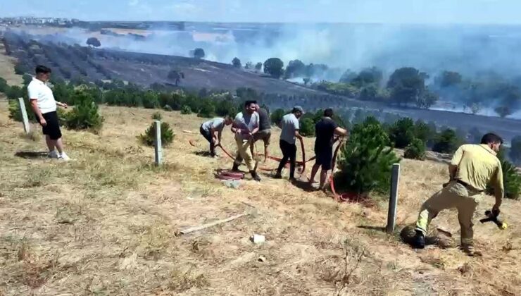 Tekirdağ’da yangın; 100 dekar alan zarar gördü