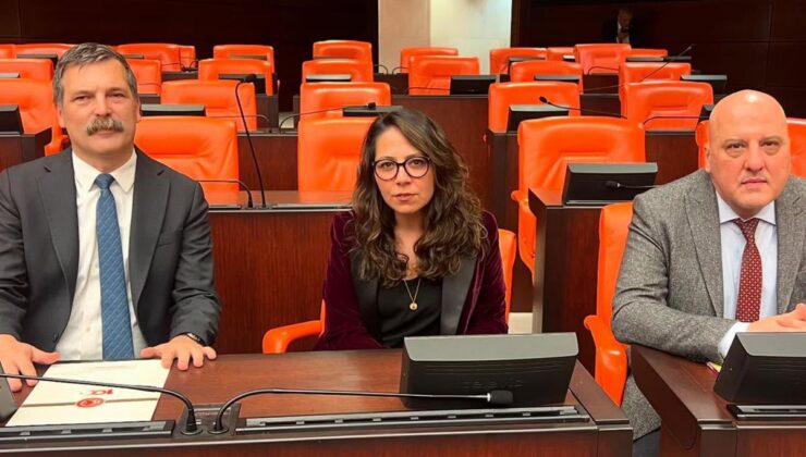 TİP milletvekili Sera Kadıgil hakkında “Cumhurbaşkanına hakaret” ve “tehdit” soruşturması