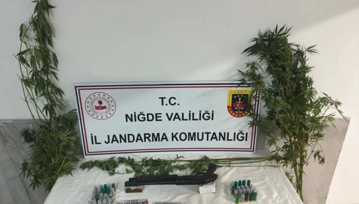 Ulukışla’da Uyuşturucu Operasyonu: 16 Kök Kenevir ve Esrar Ele Geçirildi