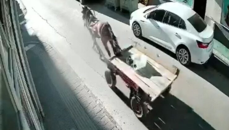 Uzunköprü’de Sürücüsüz At Arabası Park Halindeki Otomobile Çarptı