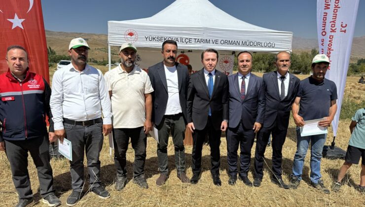 Yüksekova’da Buğday Hasadı Şenliği