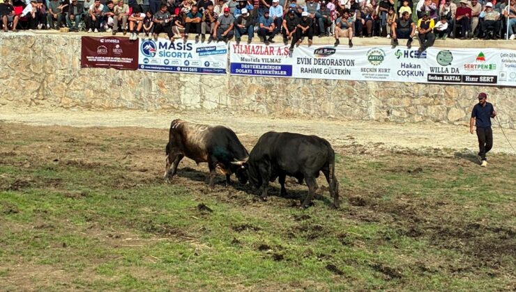 Yusufeli’de Salikvan Yayla Festivali yapıldı
