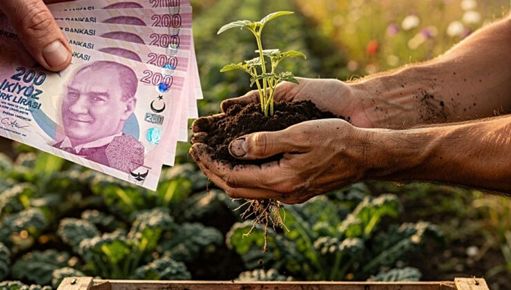 2026-2027 tarımsal destek tutarları belli oldu! İşte tam liste