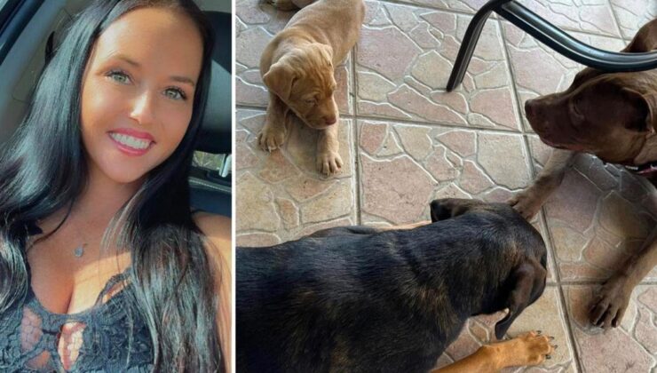 ABD’de iki çocuk annesi kadın, eşi tarafından köpeğiyle ilişkiye girerken yakalandı