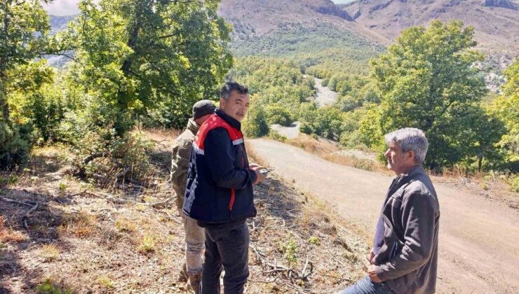 Afyonkarahisar Sultandağı’nda kaybolan 9 büyükbaş hayvan dron desteğiyle bulundu