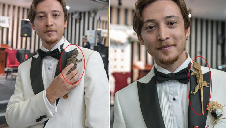 Altın yerine sopa böceği, iguana ve kertenkele! Böyle takı töreni görülmedi