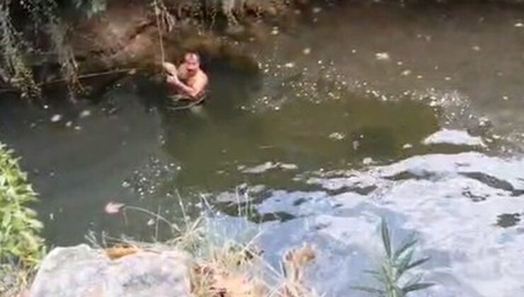 Antalya Aksu’da dereye girip yüzen vatandaş, mahsur kaplumbağayı kurtardı