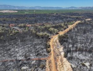 Antalya’da yanan ormanlık alanlar havadan görüntülendi