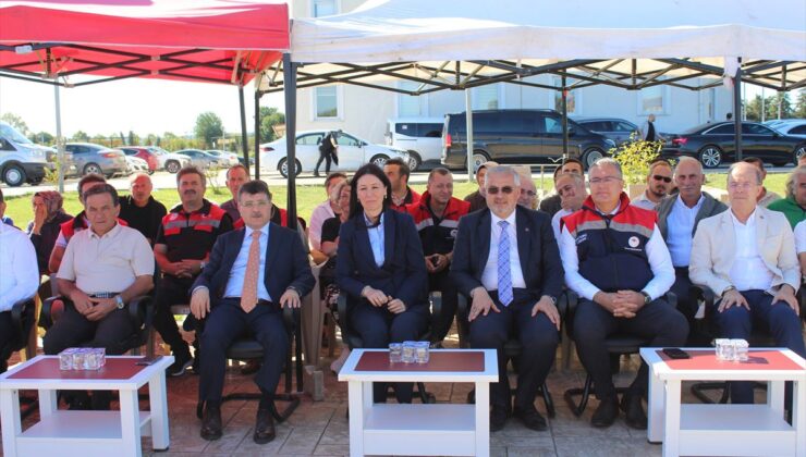 Bafra Ovası’nda üreticilere 266 bin kışlık sebze fidesi dağıtıldı