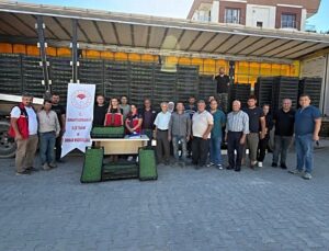 Balıkesir Burhaniye’de 300 bin 300 marul fidesi üreticilere yüzde 75 hibeyle verildi