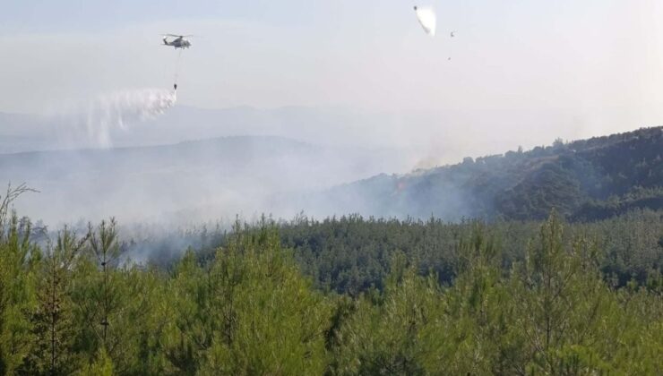 Bayramiç’teki Orman Yangınında 8 Hektar Zarar Gördü