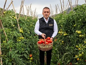 Bilecik Valisi Sözer, Osmaneli’de domates ve barbunya hasadı yapıp salça hazırladı