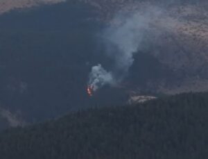 Bolu Kıbrıscık’ta Karacaören mevkisinde orman yangını çıktı, ekipler müdahale ediyor