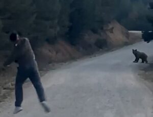 Bolu Mudurnu’da ayıyla karşılaşan arkadaş grubundan biri ayıyı taş atarak kovaladı