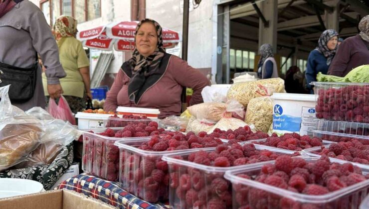 Bolu’da köylüler doğal ürünlerini aracısız satışla vatandaşa ulaştırıyor