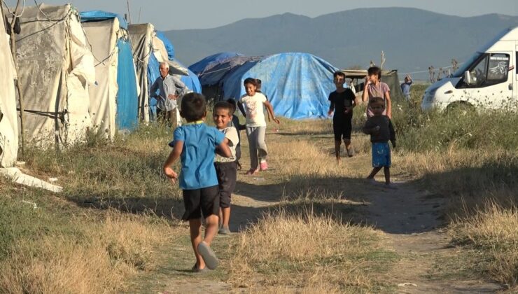 Bursa’da Mevsimlik İşçilerin Zorlu Yaşamı: Çadırlarda Hem Çalışıyorlar Hem Çocuk Büyütüyorlar