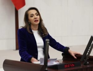 CHP’li İlgezdi, köprü ve otoyolların özelleştirilmesini Bakanı Şimşek’e sordu