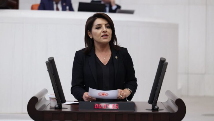 CHP’li Kış, fon skandalını TBMM’ye taşıyıp Şimşek’e üç soru önergesi verdi