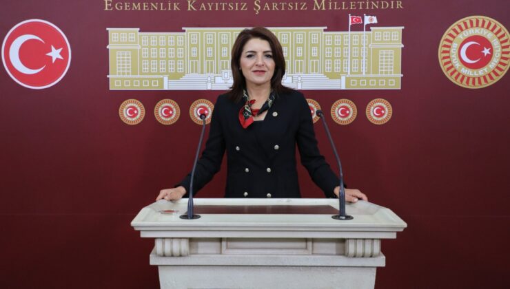 CHP’li Kış, Mersin narenciye lojistik krizi için 3 bakanlığa soru önergesi verdi