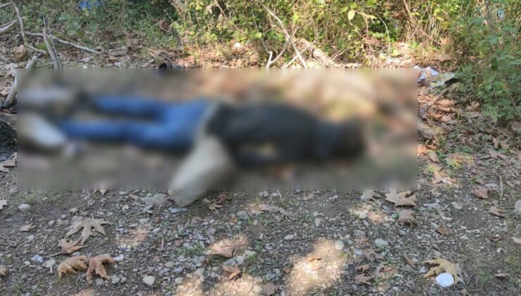 Cide’de Av Tüfeğiyle Öldürülen Adamın Katil Zanlısı Tutuklandı