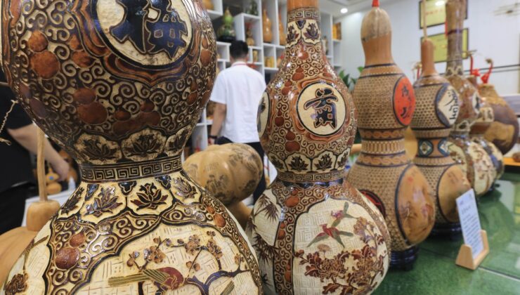 Çin’in Shandong eyaletindeki Tangyi’de su kabağı ekim alanı 666,67 hektarı aştı