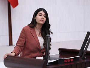 DEM Parti Milletvekili Altın, Kızıltepe’de çocukların bulunduğu eve baskını Meclis gündemine taşıdı