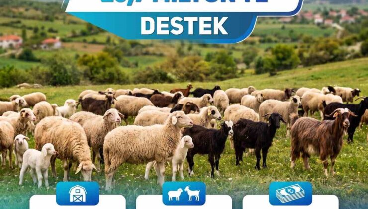 Denizli’de 1100 işletmeye kuzu ve oğlak desteği için 25 milyon 716 bin 570 TL ödendi
