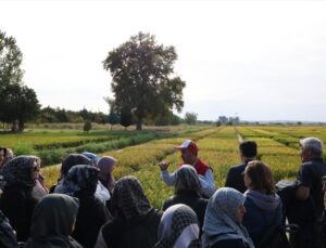 Dodurga’dan 45 kadın çiftçi Edirne ve Çanakkale’de 4 günlük inceleme gezisine katıldı