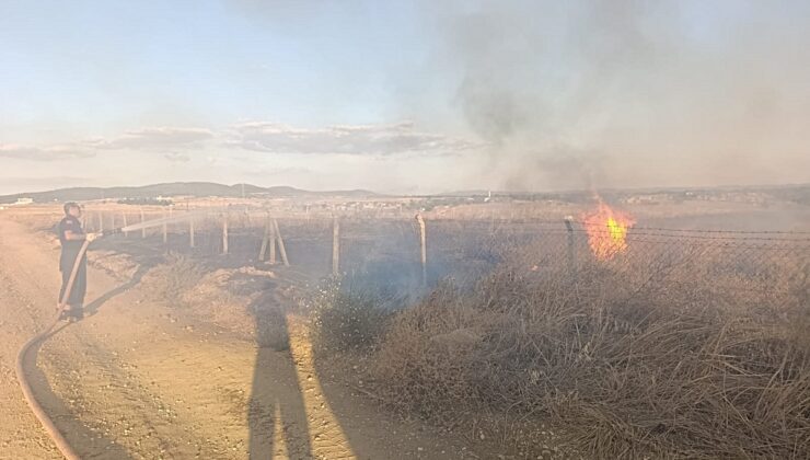 Edirne Keşan’da lavanta tarlasındaki yangında 12 dönüm zarar gördü