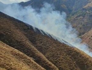 Elazığ Palu Akdağ’da çıkan örtü yangını söndürüldü, mahsur kaplumbağa kurtarıldı
