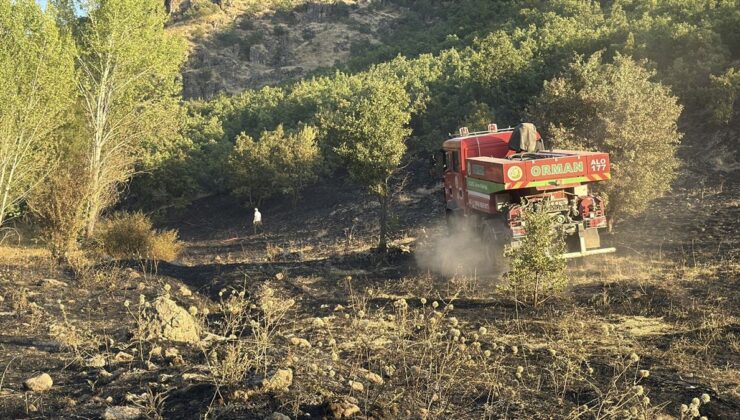 Elazığ’da Orman Yangını Kontrol Altına Alındı