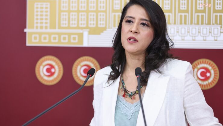 EMEP’li Karaca, Van YYÜ’nün 387 milyon lira zararını Meclis’e taşıdı