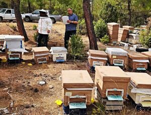 Emet İlçe Tarım ve Orman Müdürlüğü merkez ve Eğrigöz’de arılı kovan tespiti yaptı
