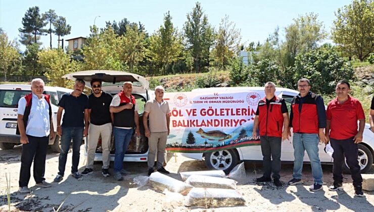 Gaziantep’te iç sulara 1 milyon 98 bin yavru sazan bırakıldı