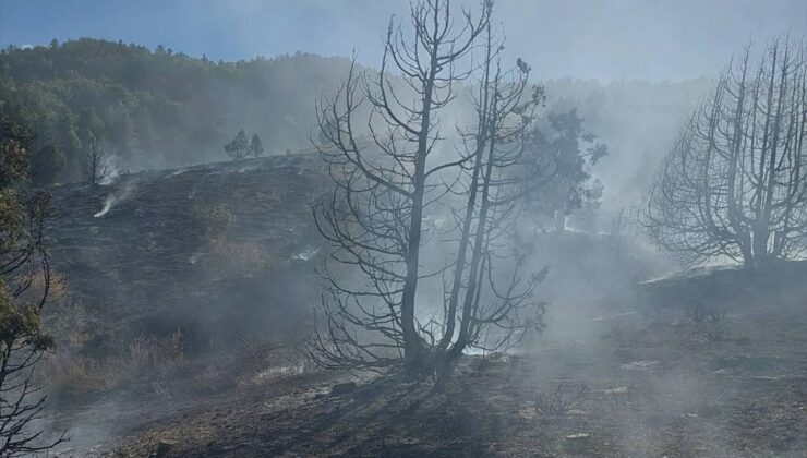 Giresun’da yaylada çıkan örtü yangınında 1 kişi yaralandı