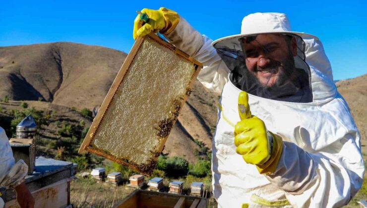 Gümüşhane’de bal sezonu kapandı, rekolte yüzde 40-50 geriledi