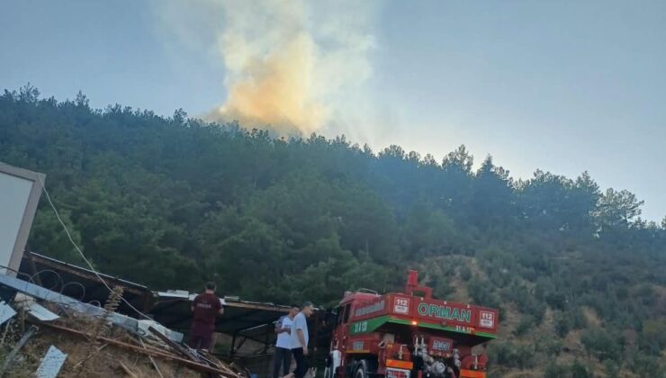 Hassa’da Orman Yangını Kontrol Altına Alındı
