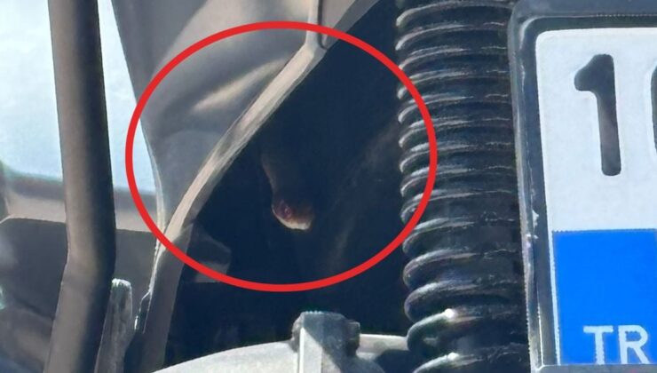 İnegöl’de motosikletin içine giren yılan itfaiye ekiplerince çıkarıldı