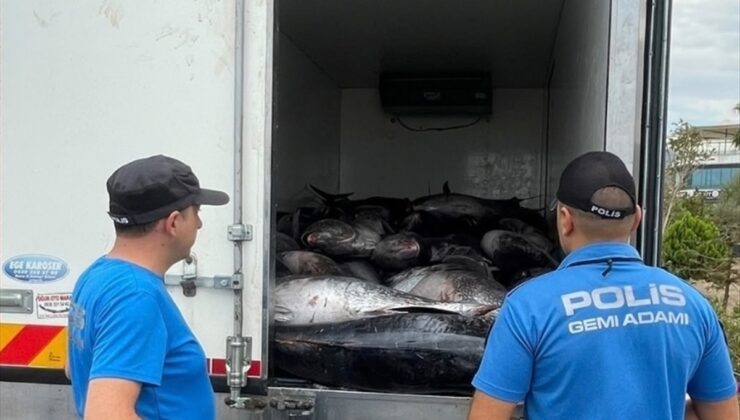 İzmir Güzelbahçe’de 3 ton orkinos ele geçirildi, 2 kişi hakkında işlem başlatıldı.