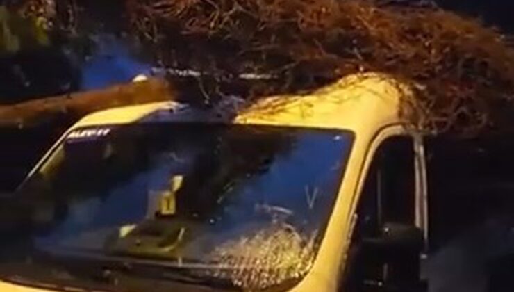 Kadıköy’de servis minibüsüne devrilen ağaç itfaiye tarafından kesilerek kaldırıldı
