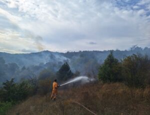 Karabük Eskipazar’da otluk yangını hava desteğiyle söndürüldü, yaklaşık 5 dönüm yandı