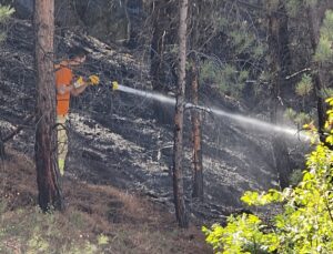 Karabük’te ormanlık alanda çıkan yangın söndürüldü