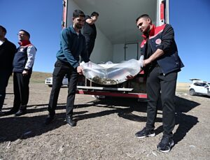 Kars’taki Bayburt Barajı’na 500 bin balık yavrusu bırakıldı