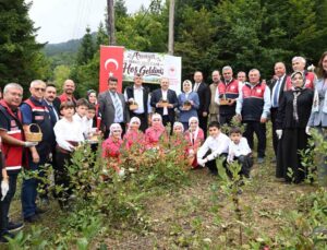 Kastamonu Şenpazar’da aronya hasadı başladı, yaklaşık 7 ton rekolte bekleniyor