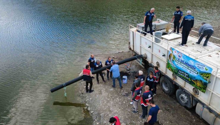 Kastamonu’da 7 ilçede gölet ve akarsulara 800 bin sazan yavrusu bırakıldı